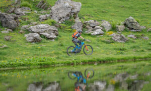 E-Bikes